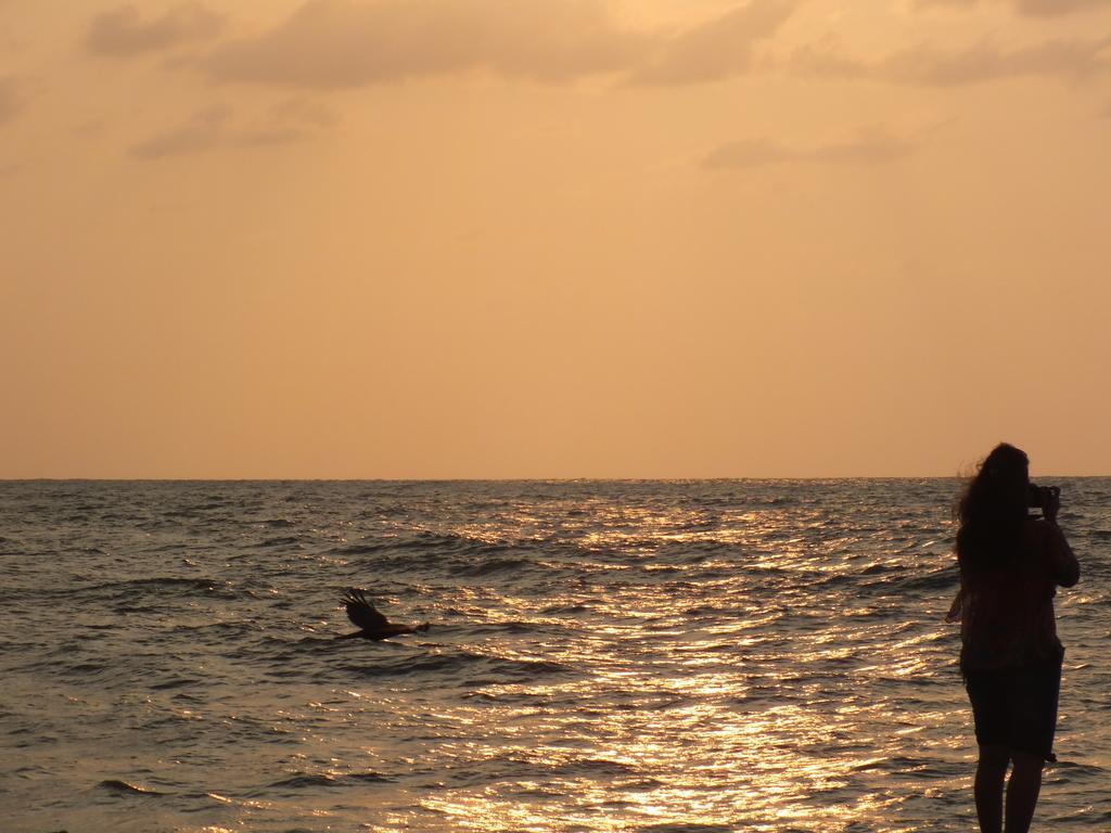 Thoms Beach Homestay Alappuzha Ngoại thất bức ảnh